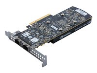 NVIDIA Mellanox ConnectX-6 DX - nätverksadapter - 10/25 Gigabit SFP28 x 2 436M8AA