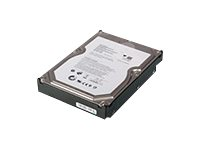 Lenovo NAS Drive Multi-Pack - hårddisk - 1 TB - SATA 3Gb/s (paket om 4) 4N40A33712