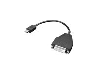 Lenovo DisplayPort-adapter - 20 cm 0B47090