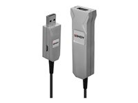 Lindy - USB-förlängningskabel - USB typ A till USB typ A - 50 m 42701