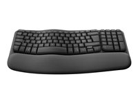 Logitech Ergo Series Wave Keys for Business - tangentbord - QWERTZ - tysk - grafit Inmatningsenhet 920-012327