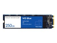 WD Blue 3D NAND SATA SSD WDS250G2B0B - SSD - 250 GB - SATA 6Gb/s WDS250G2B0B