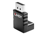 Lindy - DisplayPort-adapter - DisplayPort till DisplayPort 41366