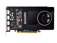 NVIDIA Quadro P2200 - grafikkort - Quadro P2200 - 5 GB VCQP2200-PB