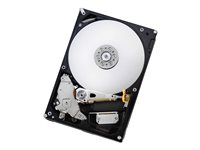 HGST IDK Deskstar NAS H3IKNASN600012872SE2PK - hårddisk - 6 TB - SATA 6Gb/s 0S03943