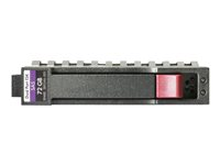 HPE Dual Port Enterprise - hårddisk - 600 GB - SAS 6Gb/s 581286-S21