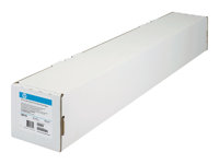 HP - OH-film - 1 stk - Rulle (61 cm x 22,8 m) - 174 g/m² C3876A