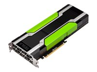 NVIDIA Tesla P100 - GPU-beräkningsprocessor - Tesla P100 - 16 GB Q0E21A