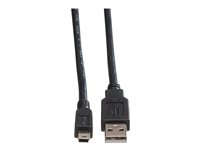 Roline - USB-kabel - USB till mini-USB typ B - 3 m 11.02.8730