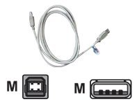 Cables Direct - USB-kabel - USB till USB typ B - 2 m USB2-102