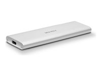 Lindy - förvaringslåda - M.2 Card - USB 3.1 (Gen 2), USB 3.2 (Gen 2) 43332