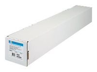 HP Professional Satin Photo Paper - fotopapper - satin - 1 rulle (rullar) - Rulle (111,8 cm x 15,2 m) Q8840A