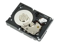 Dell - hårddisk - 1 TB - SAS 6Gb/s 400-22282