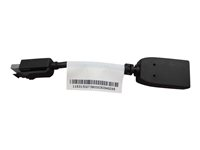 Lenovo - DisplayPort-adapter - Mini DisplayPort till DisplayPort 03T8319