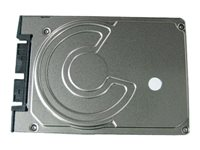 Dell - hårddisk - 120 GB - SATA 3Gb/s Y693M