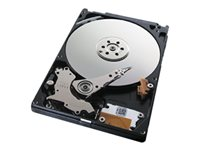 Seagate Laptop HDD ST1000LM024 - hårddisk - 1 TB - SATA 6Gb/s BA59-03161E