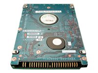 Dell - hårddisk - 80 GB - IDE MG450