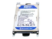 HP - hårddisk - 250 GB - SATA 3Gb/s 577082-001