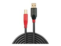 Lindy - USB-kabel - USB till USB typ B - 10 m 42761