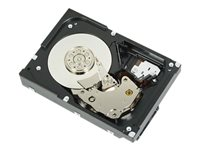 Dell Nearline - hårddisk - 2 TB - SAS D09PJ