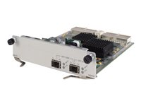 HPE HIM Module - expansionsmodul JC173A