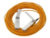 HPE Active Optical Cable - direktkopplingskabel - 10 m 720208-B21