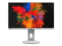 Fujitsu B2410 TE - LED-skärm - Full HD (1080p) - 23.8" S26361-K1704-V140