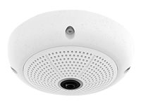 MOBOTIX Hemispheric Q26B - nätverksövervakningskamera - kupol MX-Q26B-6D016