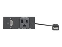 Extron Architectural Adapter Plate AC USB AAP - modulkontaktplatta med insnäppsfästen 70-608-12