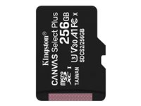 Kingston Canvas Select Plus - flash-minneskort - 256 GB - mikroSDXC UHS-I SDCS2/256GBSP