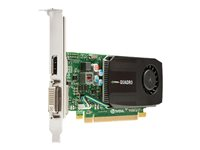 NVIDIA Quadro K600 - grafikkort - Quadro K600 - 1 GB 713379-001