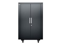 APC NetShelter CX AR4024IX431 - rack med kraftfördelningsenhet - 24U AR4024IX431