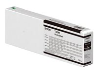 Epson T804100 - foto-svart - original - bläckpatron C13T804100