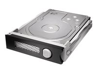 G-Technology StudioRAID Module - Reserv - hårddisk - 8 TB - SATA 6Gb/s 0G04347-1