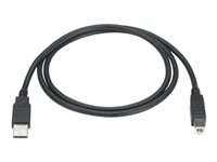 Black Box - USB-kabel - USB till USB typ B - 4.6 m USB05-0015