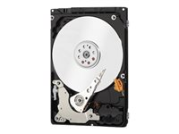 HGST Travelstar Z5K500.B HTS545050B7E660 - hårddisk - SATA 6Gb/s 1W10013