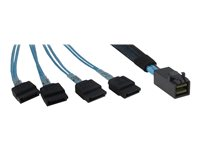 Inter-Tech SATA/SAS-kabel - 50 cm 88885003