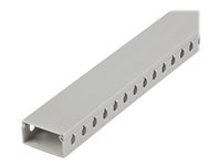 StarTech.com Kabelhanteringsbana med öppen kortplats med hölje, 50mm B x 25mmH - 2m L-8mm kortplatser, PVC-nätverkskabelkabel-kabel-kabel-kanal, max 20 kablar, UL-lista - kabelränna - TAA-kompatibel CBMWD5025