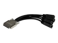 StarTech.com VHDCI Cable Full HD, 4 Port HDMI Breakout Cable for Video Card, 1920x1200 60Hz, 30 AWG, Mirror or Expand Video, VHDCI to HDMI Breakout Cable - VHDCI Adapter - videokabel - 20 cm VHDCI24HD