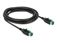 Delock - USB-kabel med egen strömförsörjning - USB PlusPower (12 V) till USB PlusPower (12 V) - 3 m 85494