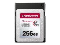 Transcend CFexpress 820 - flash-minneskort - 256 GB - CFexpress, typ B TS256GCFE820