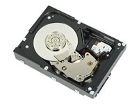 Dell - hårddisk - 1 TB - SAS 12Gb/s 400-ALOO