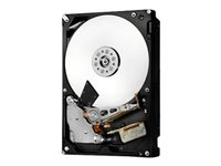 HGST Ultrastar 7K6000 HUS726060AL4215 - hårddisk - 6 TB - SAS 12Gb/s 0F22820