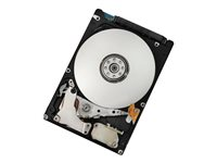 HGST CinemaStar Z7K500 HCC725050A7E630 - hårddisk - 500 GB - SATA 6Gb/s 0J26075