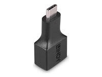 Lindy - USB typ C-adapter - USB typ A till 24 pin USB-C 41899