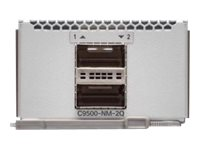 Cisco Catalyst 9500 Series Network Module - expansionsmodul - 40 Gigabit QSFP+ x 2 C9500-NM-2Q=