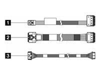 Lenovo sats med lagringskablar 4X97A88464