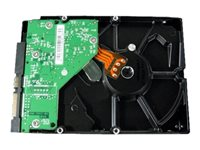 Dell - hårddisk - 160 GB - SATA 3Gb/s U717D