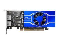 AMD Radeon Pro W6400 - grafikkort - RDNA 2 - 4 GB 100-506189