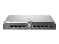 Cisco B22HP - expansionsmodul - 16 portar 657787-B21